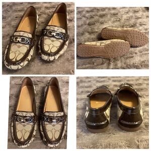 🦌 New Coach Signature Loafer Shoes with C Emblems Size 6.5